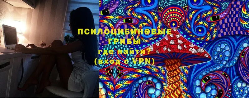 Псилоцибиновые грибы Cubensis  Похвистнево 